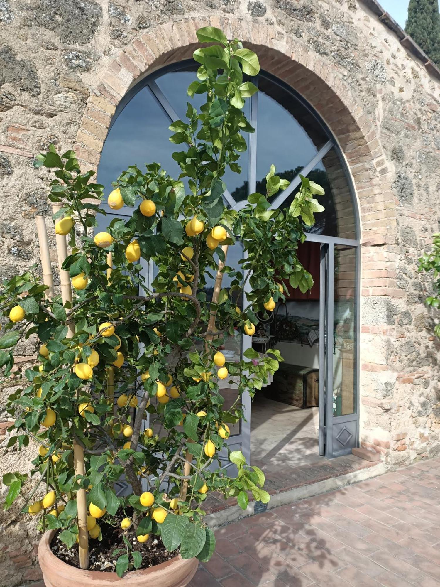 Relais Antico Borgo San Lorenzo Поджибонси Екстериор снимка